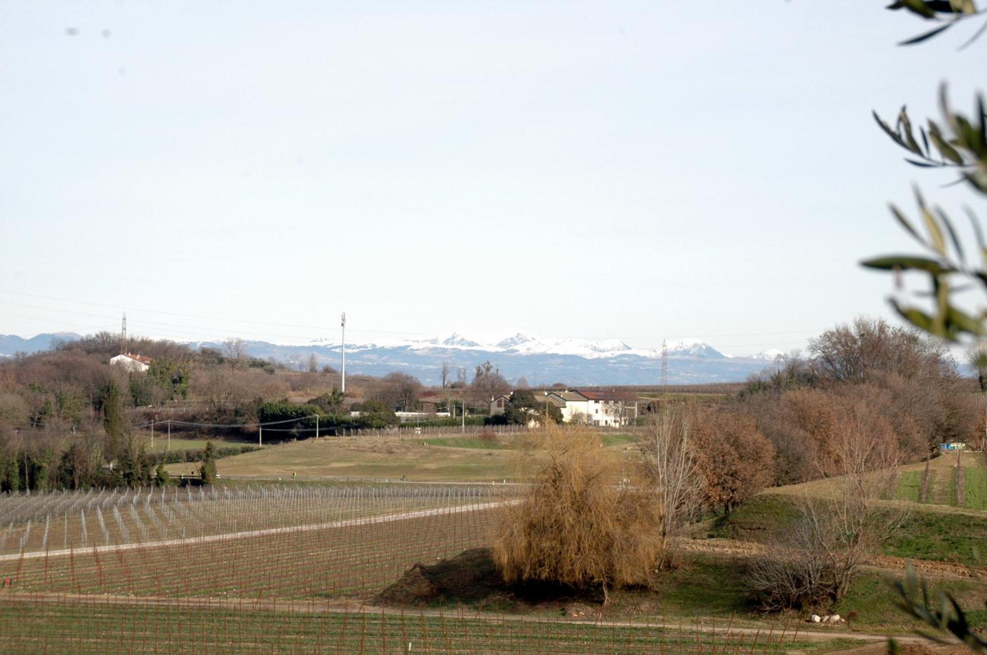 Agriturismo Tenuta San Leone Valeggio sul Mincio Exterior foto