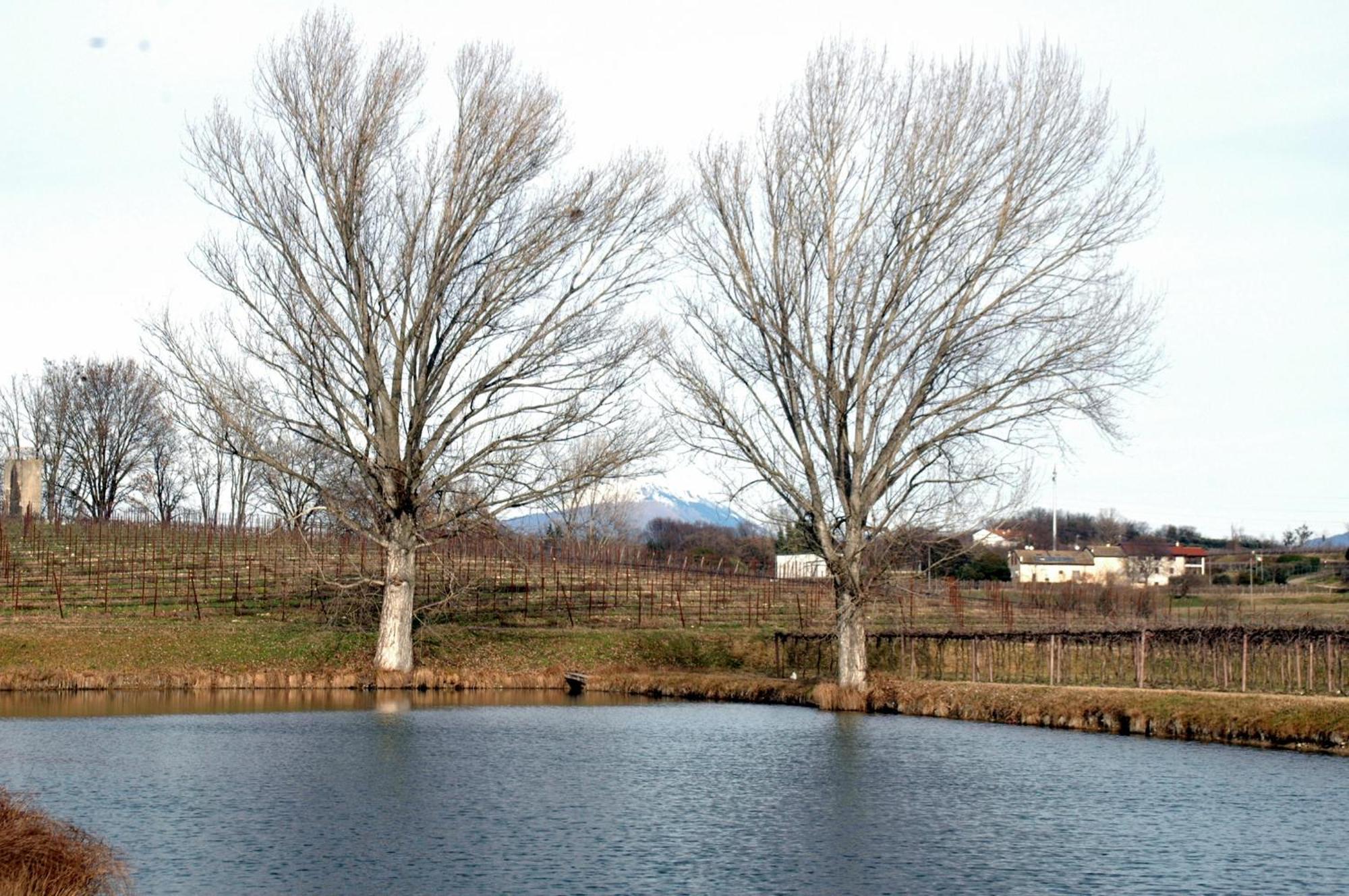 Agriturismo Tenuta San Leone Valeggio sul Mincio Exterior foto