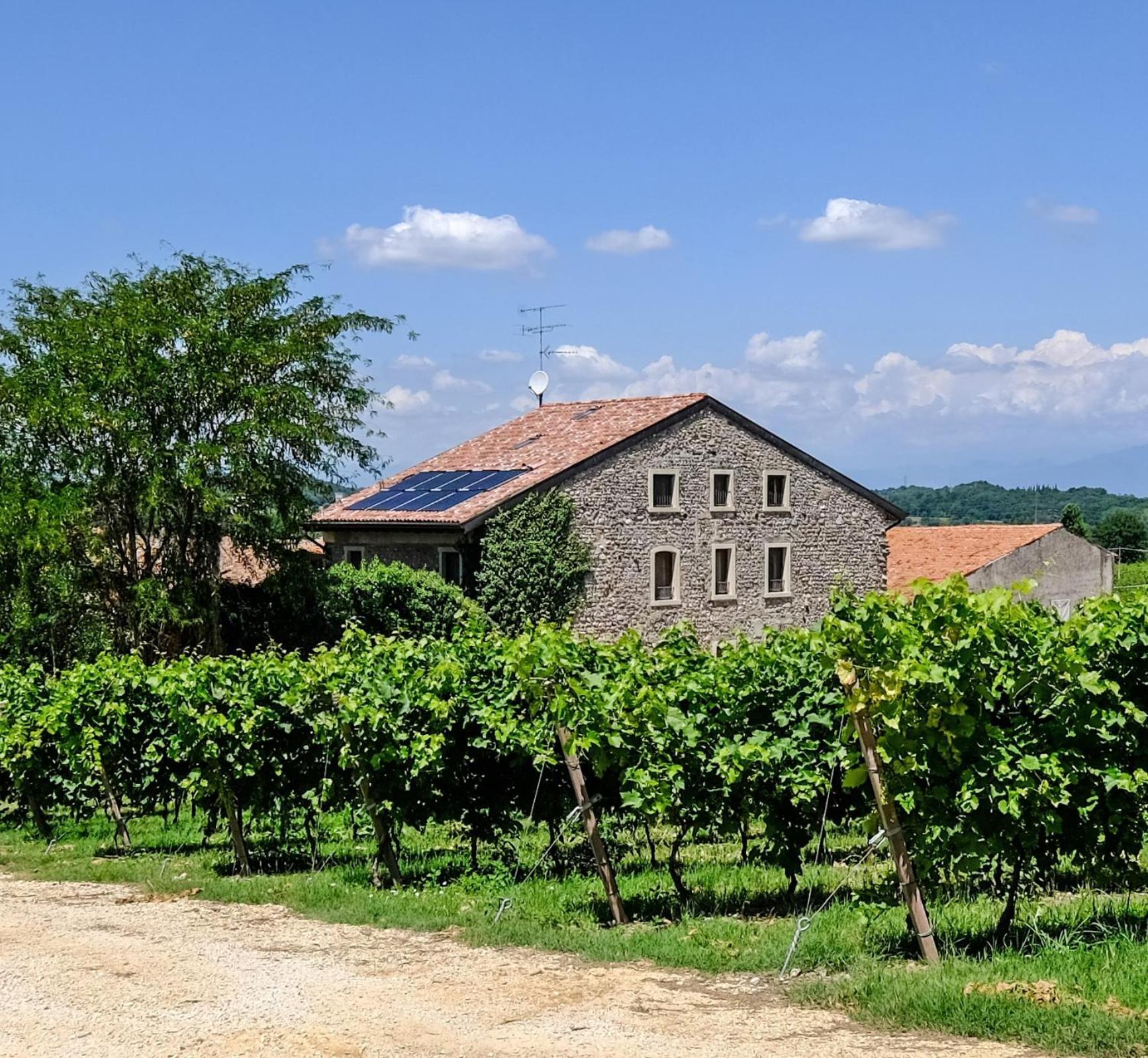 Agriturismo Tenuta San Leone Valeggio sul Mincio Exterior foto