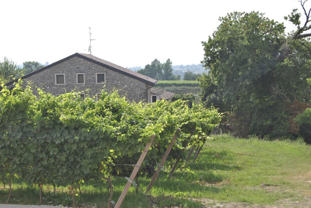 Agriturismo Tenuta San Leone Valeggio sul Mincio Exterior foto